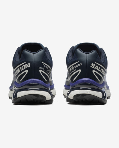 XT-6 GORETEX - Carbon / Vanilla Ice